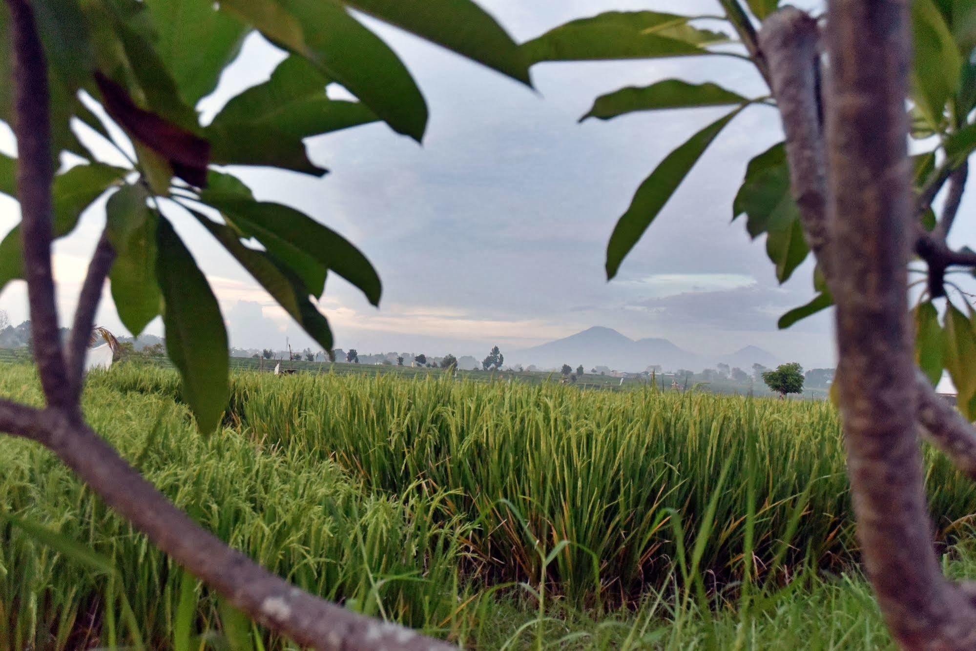 Villa Yenian By Villa Finder Canggu Eksteriør bilde
